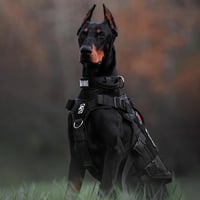 OneTigris X Destroyer taktikai kutyahám 3 fogantyúval, fém csatokkal, közepes-nagy kutyáknak - S:8-15kg(Hals:36-51cm, Brust:51-69cm), black 8