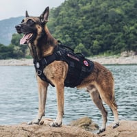 OneTigris X Destroyer taktikai kutyahám 3 fogantyúval, fém csatokkal, közepes-nagy kutyáknak - S:8-15kg(Hals:36-51cm, Brust:51-69cm), black 7