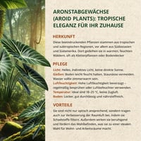 ORAGARDEN Aroid Mix Talaj 3L - Szobanövények és Kerti Növények Táptalaja 8
