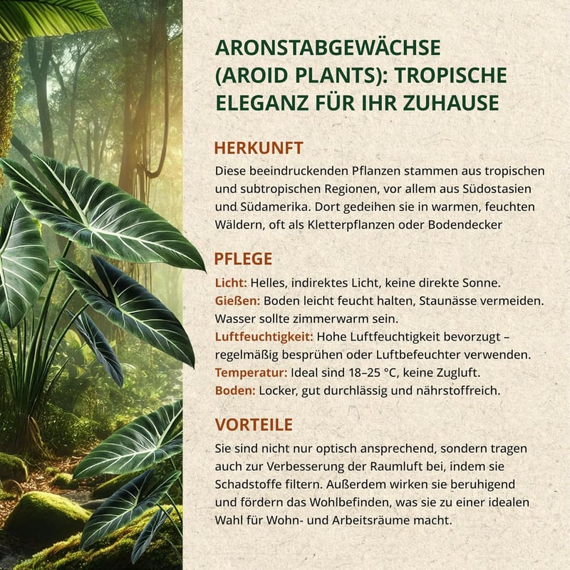 ORAGARDEN Aroid Mix Talaj 3L - Szobanövények és Kerti Növények Táptalaja