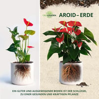 ORAGARDEN Aroid Mix Talaj 3L - Szobanövények és Kerti Növények Táptalaja 3