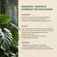 ORAGARDEN Monstera Talaj 1L - Beltéri Növények és Kertészeti Föld 5 Komponensű Potting Soil 8