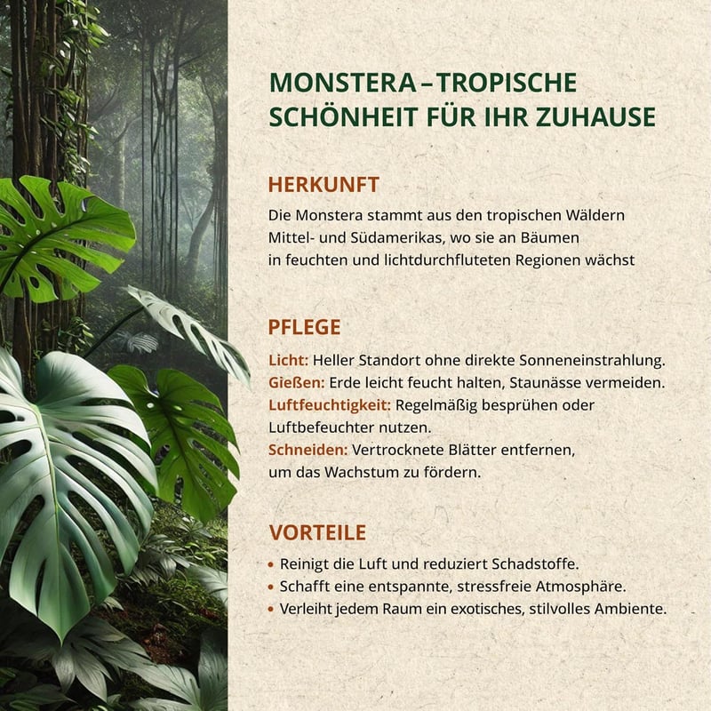ORAGARDEN Monstera Talaj 1L - Beltéri Növények és Kertészeti Föld 5 Komponensű Potting Soil