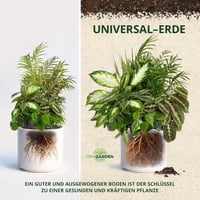 ORAGARDEN Univerzális Növénytalaj 3L - Szobanövények, Virágok, Pálmák Talaja 3