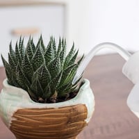 ORIMERC 500ml szöcskézőpalack szivárgásmentes O-gyűrűvel szobanövényekhez 3