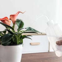 ORIMERC 500ml szöcskézőpalack szivárgásmentes O-gyűrűvel szobanövényekhez 4