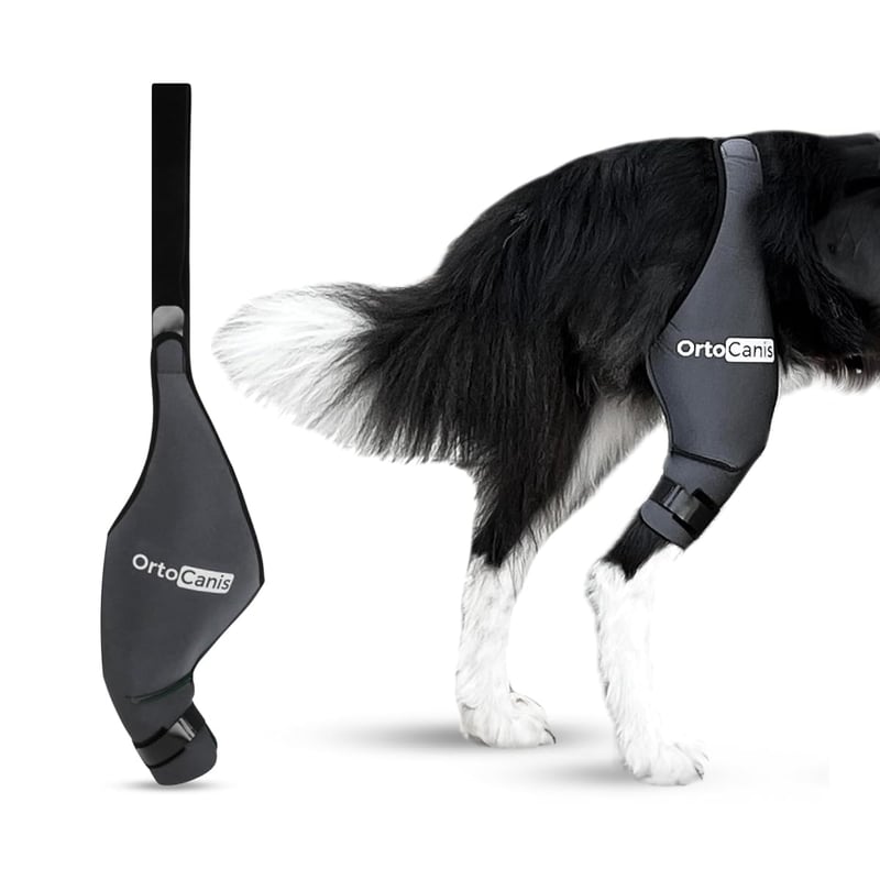 Orteză pentru genunchi Ortocanis pentru piciorul drept spate, din material neopren ARD, pentru ruptură de ligament încrucișat, luxație de patelă și artrită, mărimea X-Large (36-40 cm)