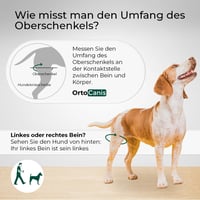 Orteză pentru genunchi Ortocanis pentru piciorul drept spate, din material neopren ARD, pentru ruptură de ligament încrucișat, luxație de patelă și artrită, mărimea X-Large (36-40 cm) 3