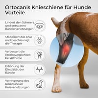 Orteză pentru genunchi Ortocanis pentru piciorul drept spate, din material neopren ARD, pentru ruptură de ligament încrucișat, luxație de patelă și artrită, mărimea X-Large (36-40 cm) 2