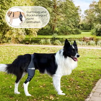 Orteză pentru genunchi Ortocanis pentru piciorul drept spate, din material neopren ARD, pentru ruptură de ligament încrucișat, luxație de patelă și artrită, mărimea X-Large (36-40 cm) 5