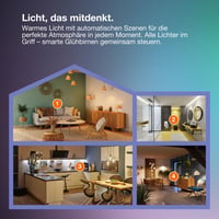 Bec LED Osram SMART+ A53 6W 2400K E27 Filament Auriu Dimmabil, control prin aplicație și voce, compatibil Matter 8