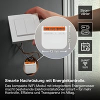 Modul întrerupător inteligent Osram SMART+ WiFi, 2 canale, 10A, cu monitorizare consum, alb, control casă inteligentă 2
