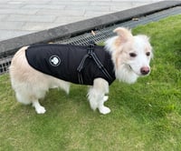 Haină pentru câini Ossxixo cu ham integrat, geacă de iarnă impermeabilă și călduroasă pentru câini de talie mică, medie și mare, potrivită pentru Labrador, Chihuahua, Bulldog Francez 5