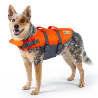 Outward Hound Granby Splash Prsluk za spašavanje pasa - Veličina M, Narančasti - Podesivi prsluk za plivanje s brzim otpuštanjem za pse 1