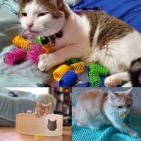 Set 24 Jucării Spirale pentru Pisici Oykrueats, Spirale Colorate din Plastic pentru Pisici 7
