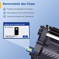 Kompatibilný toner Palmtree TN-2510 TN2510XL pre tlačiarne Brother HL-L2400DWE MFC-L2800DW, čierny, vysokokapacitná kazeta 2