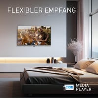 Inteligentný LED televízor Panasonic TB-24S40AEZC s uhlopriečkou 24 palcov, rozlíšením HD a systémom TiVo 8