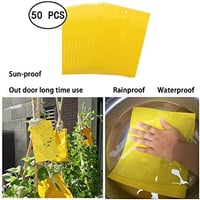 Panngu Sárga Ragadós Rovarcsapda 50db - Kétoldalas Légycsapda Papír 6x8 Hüvelyk - Gombalegyek, Molytetvek, Levéltetvek Ellen 5