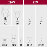 Paulmann LED Globe Filament G125 9W E27 Meleg Fehér 2700K Retro Izzó 4