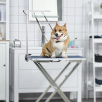 Skladací nerezový stôl na strihanie domácich zvierat PawHut s ramenom pre veľké aj malé psy, nastaviteľná výška, max. 74 cm, strieborný 2