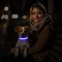 PcEoTllar USB-s LED kutya nyakörv 8 mód vízálló kék - S méret 9