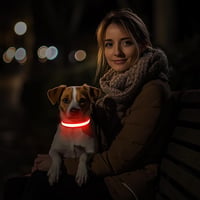 PcEoTllar USB-s LED kutya nyakörv 7 szín 8 mód vízálló 9