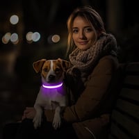PcEoTllar USB-s LED kutya nyakörv 8 mód vízálló lila - S méret 9