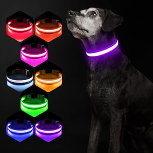 PcEoTllar USB-s LED kutyanyakörv 8 mód vízálló lila - L méret