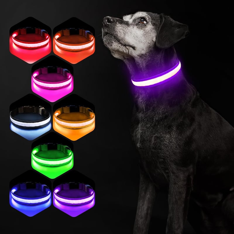 PcEoTllar USB-s LED kutya nyakörv 8 mód vízálló lila - S méret