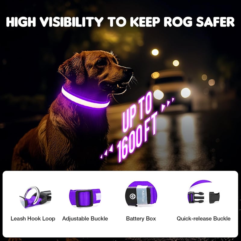PcEoTllar USB-s LED kutya nyakörv 8 mód vízálló lila - S méret