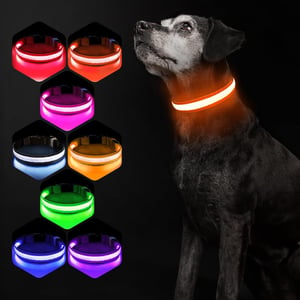 PcEoTllar USB-s LED kutya nyakörv 8 mód vízálló narancssárga - S méret