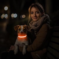 PcEoTllar USB-s LED kutyanyakörv 8 mód vízálló állítható narancssárga - L méret 9