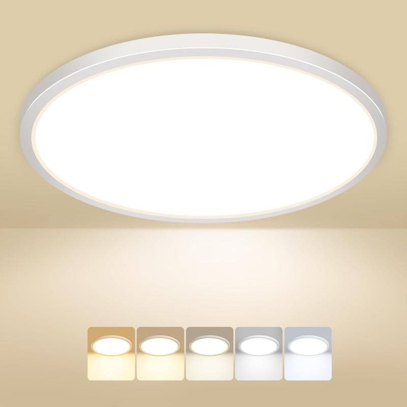 Ploché LED stropné svietidlo Peasur 24W, 5 farieb svetla 3000-6500K, vodoodolné kúpeľňové svietidlo IP54, okrúhle 30x1,6 cm, na chodbu, do spálne