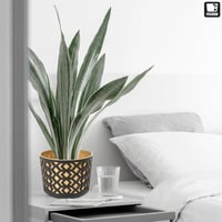 PECZEKO Dekoratív Virágcserép Szett 2db Matt Fekete/Arany 19cm Átmérő 7