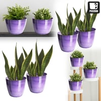 PECZEKO Lesklý plastový kvetináč, dekoratívny obal na veľké aj malé rastliny, sada 2 ks, fialový, priemer 12 cm 2