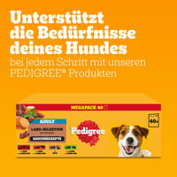 Hrană umedă pentru câini adulți Pedigree Dogcare în sos, 40 x 100 g pliculețe 7