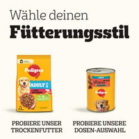 Pedigree Dogcare Felnőtt Kutyaeledel Zselés Falatok Adagos Tasakban 40 x 100 g 10