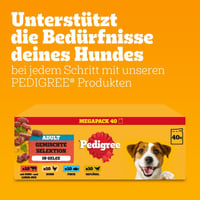 Pedigree Dogcare Felnőtt Kutyaeledel Zselés Falatok Adagos Tasakban 40 x 100 g 7
