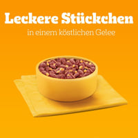 Pedigree Dogcare Felnőtt Kutyaeledel Zselés Falatok Adagos Tasakban 40 x 100 g 5