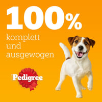 Pedigree Dogcare Felnőtt Kutyaeledel Zselés Falatok Adagos Tasakban 40 x 100 g 8