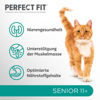 Perfect Fit Senior 11+ Suha hrana za mačke s piletinom – 6 x 750 g (4,5 kg) za starije mačke 3