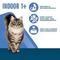 Perfect Fit Indoor 1+ Hrană umedă pentru pisici, Pliculețe 12 x 85 g, Pui și Legume în Sos – Pachet de 12 bucăți 4