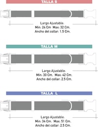 Set pentru câini Pet Peterson, 3 piese - zgardă, lesă și suport sac de excremente, Oxford, mărimea L 5