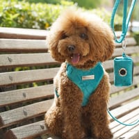 Pet Peterson Állítható Kutyahám Kicsi Kutyáknak, Hám + Póráz + Táska, 3 Részes Szett, Velúr Türkiz M 4