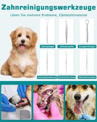 Petbank Ultrahangos Fogkefe Kutyáknak és Macskáknak, 5 Mód, 4 Fej - Black 4