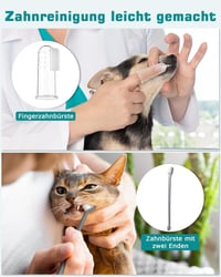 Petbank Ultrahangos Fogkefe Kutyáknak és Macskáknak, 5 Mód, 4 Fej - Black 5