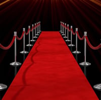 Covor roșu de ceremonie Petour 10x1 m, covor VIP cu grosimea de 2,2 mm pentru nunți, evenimente, recepții de Crăciun, pentru uz interior și exterior 1