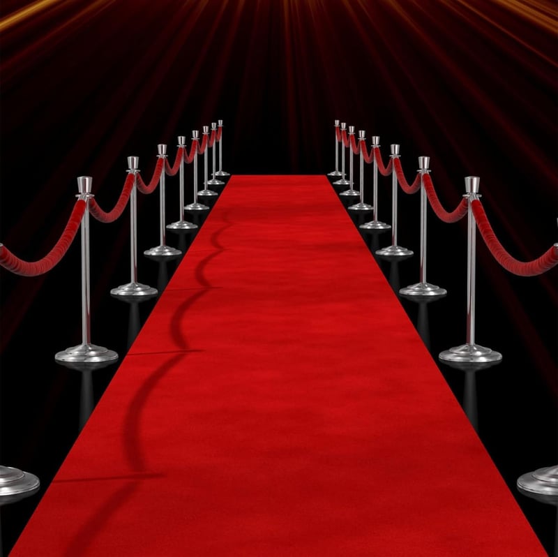 Covor roșu de ceremonie Petour 10x1 m, covor VIP cu grosimea de 2,2 mm pentru nunți, evenimente, recepții de Crăciun, pentru uz interior și exterior