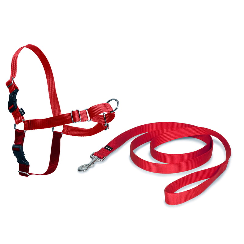 Postroj pre psov PetSafe Easy Walk s 1,8 m vodítkom, veľkosť Large, červený – pohodlný, ľahko nasaditeľný postroj proti ťahaniu pre psov
