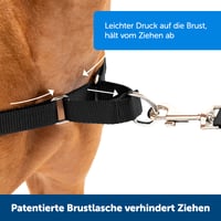 Postroj pre psov PetSafe Easy Walk s 1,8 m vodítkom, veľkosť Large, červený – pohodlný, ľahko nasaditeľný postroj proti ťahaniu pre psov 2